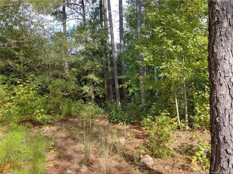 895 Seagull Dr, Vass, NC 28394 photo 9