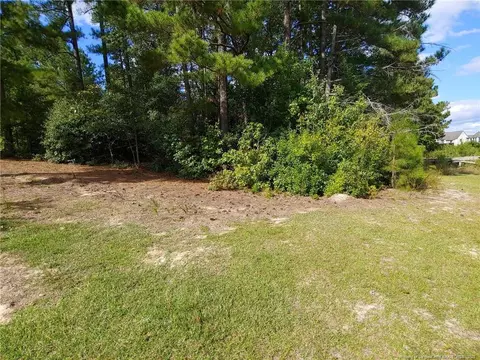 895 Seagull Dr, Vass, NC 28394 photo 10