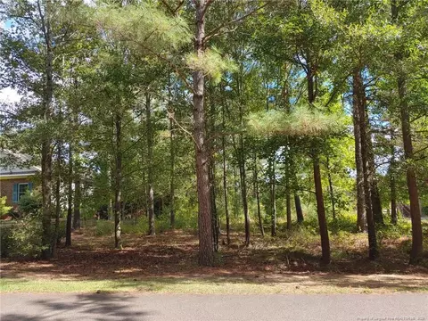 895 Seagull Dr, Vass, NC 28394 photo 3