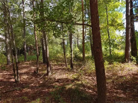 895 Seagull Dr, Vass, NC 28394 photo 6