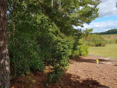 895 Seagull Dr, Vass, NC 28394 photo 8