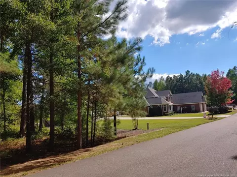 895 Seagull Dr, Vass, NC 28394 photo 5
