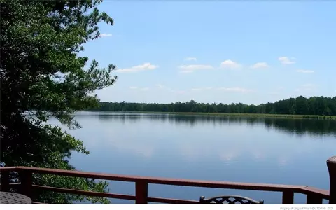 895 Seagull Dr, Vass, NC 28394 photo 2