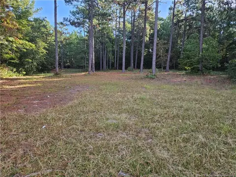 274 Old County Line Rd, Cameron, NC 28326 photo 29