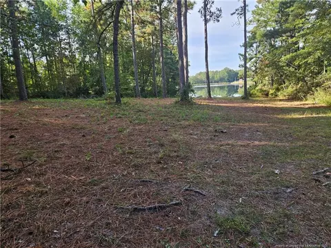 274 Old County Line Rd, Cameron, NC 28326 photo 27
