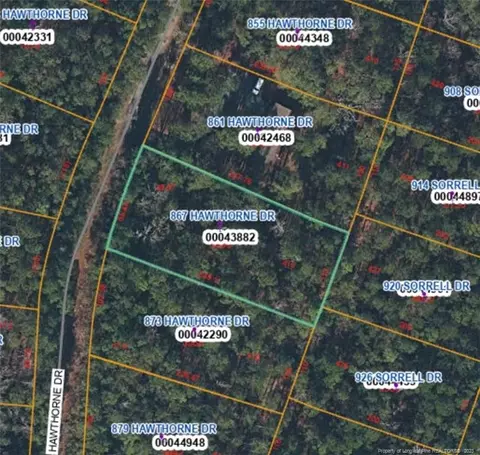 867 Hawthorne Dr, Vass, NC 28394