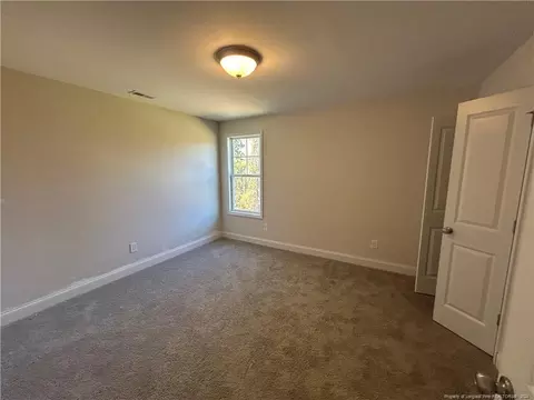 163 Olan Dr, Lumberton, NC 28360 photo 10