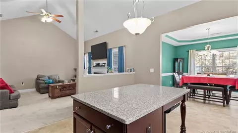 155 Arbor Loop, Angier, NC 27501 photo 18