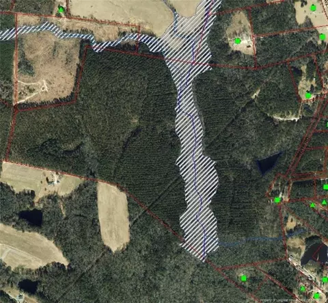 0 Border Lee Rd, Cameron, NC 28326 photo 9