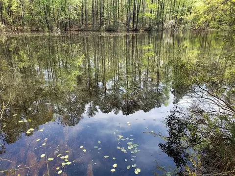 0 Border Lee Rd, Cameron, NC 28326 photo 5