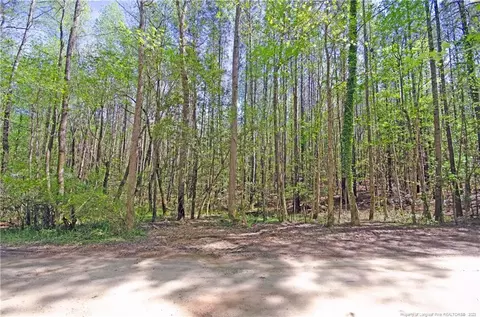0 Border Lee Rd, Cameron, NC 28326 photo 2