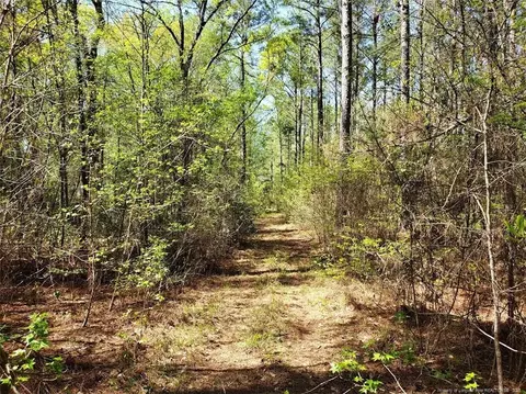 0 Border Lee Rd, Cameron, NC 28326 photo 7