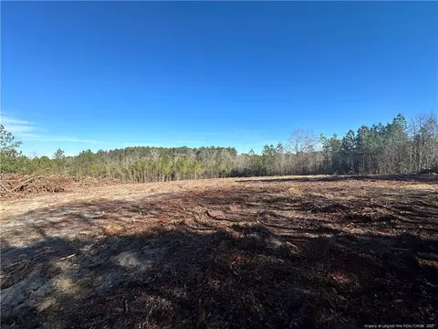 520 Treebark Ln, Cameron, NC 27546 photo 1