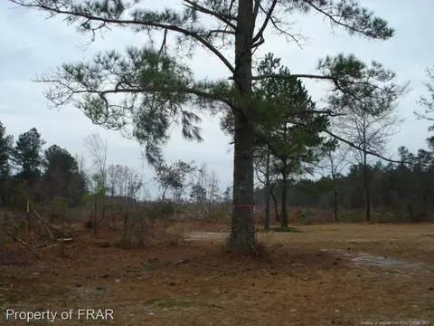 Ozzie Road, Clinton, NC 28328