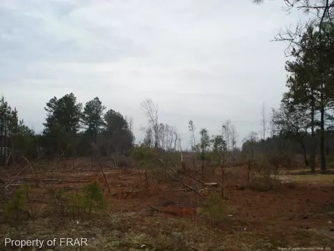 Ozzie Road, Clinton, NC 28328 photo 2