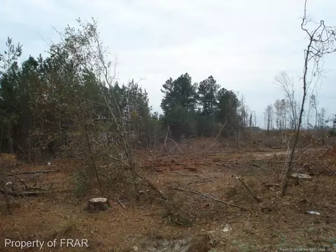 Ozzie Road, Clinton, NC 28328 photo 3