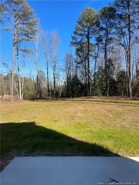 114 Killdeer Ct, Godwin, NC 28344 photo 35