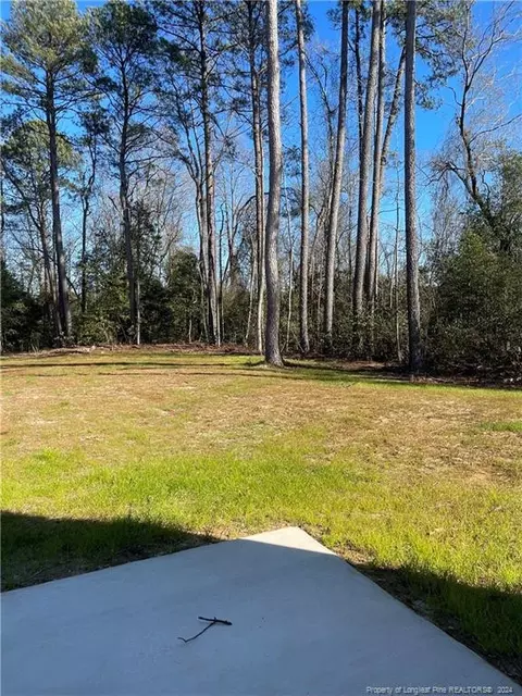 114 Killdeer Ct, Godwin, NC 28344 photo 34