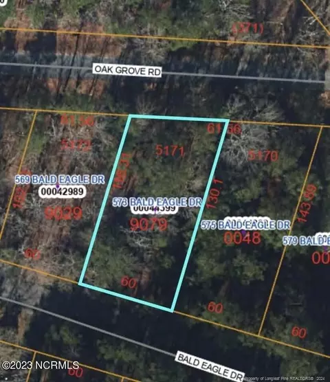 573 Bald Eagle Dr, Vass, NC 28394 photo 17