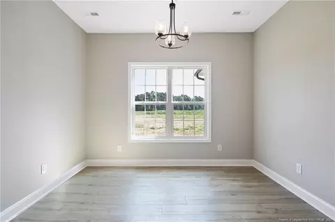 Other - 175 Spring Branch Rd, Tar Heel, NC 28392 photo 3 of 10