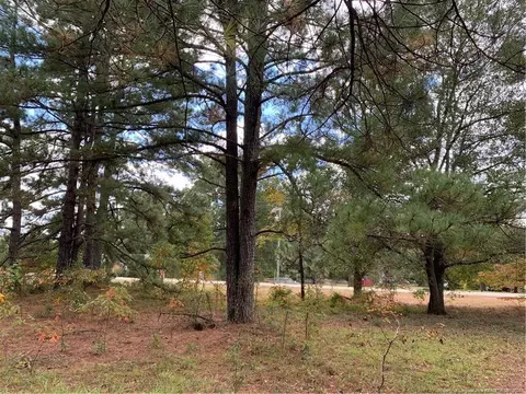 Clinton Road, Stedman, NC 28391 photo 5