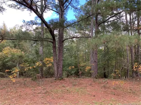 Clinton Road, Stedman, NC 28391 photo 3