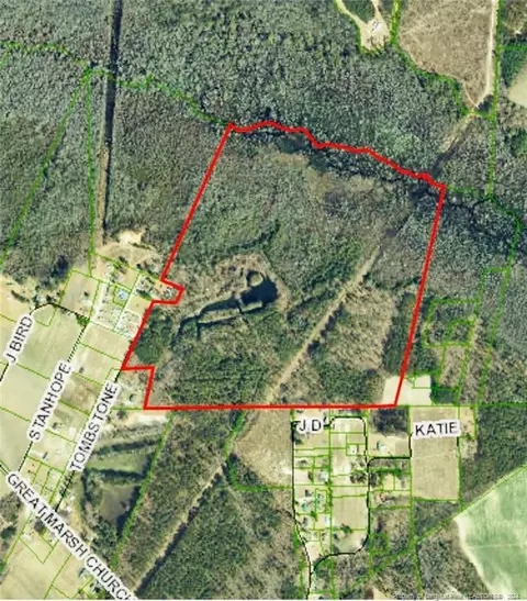 Tombstone Drive, Saint Pauls, NC 28384
