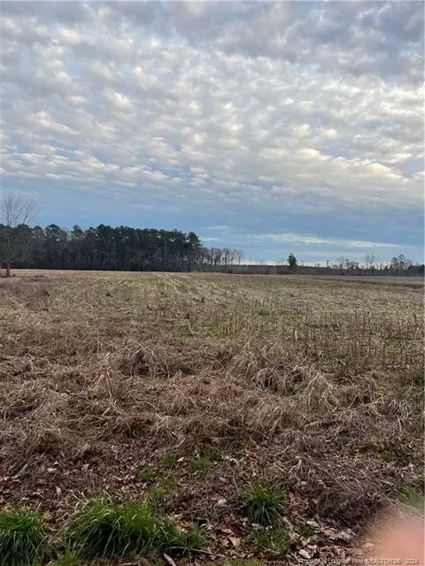 W White Pond Road, Fairmont, NC 28340