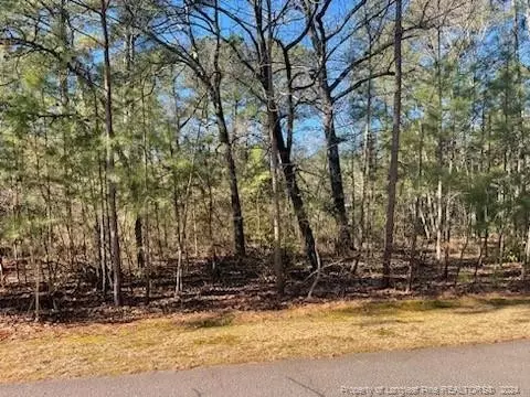642 Willow Ln, Vass, NC 28394