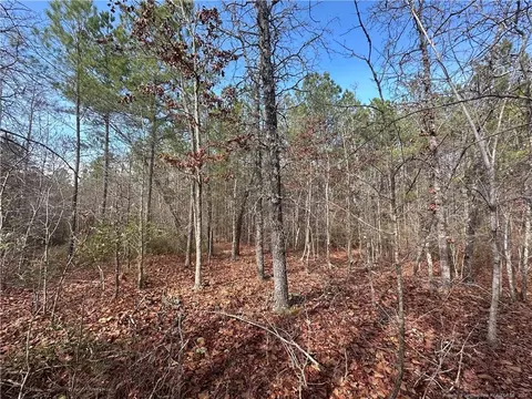 Whiffen Road, Cameron, NC 28326 photo 8