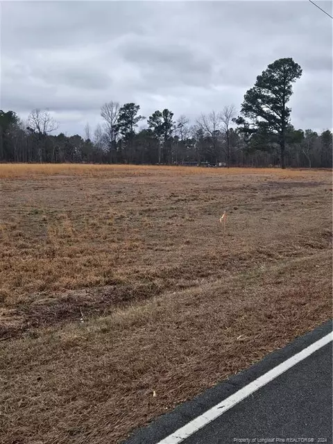 Tract 2 Odum Road, Lumberton, NC 28358