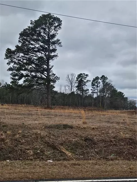 Tract 4 Odum Road, Lumberton, NC 28358