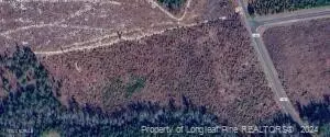 tbd Cedar Lane Rd, Jackson Springs, NC 27281