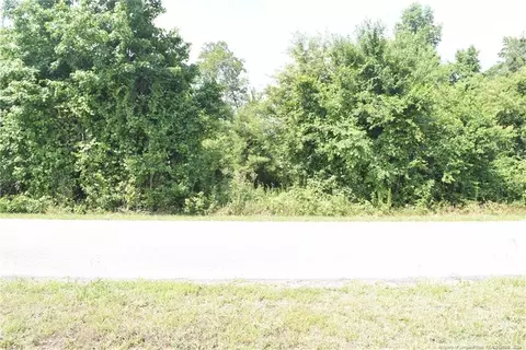 00 Douglas Farm Rd, Sanford, NC 27332