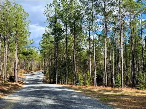 0 Sugar Maple Rd, Sanford, NC 27332