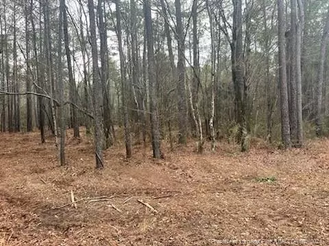 1087 Loblolly Dr, Vass, NC 28374