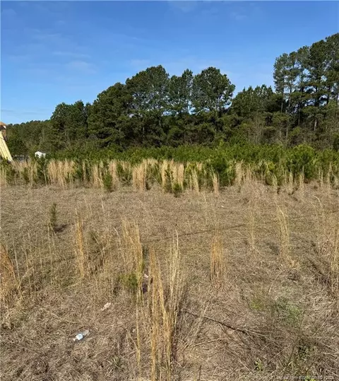 lot No 17 Twisted Hickory Rd, Elizabethtown, NC 28337