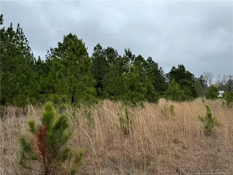 Calloway Road, Raeford, NC 28376 photo 7