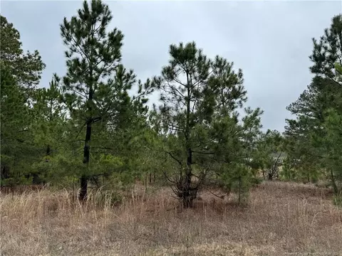 Calloway Road, Raeford, NC 28376 photo 3
