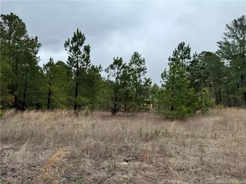 Calloway Road, Raeford, NC 28376 photo 5