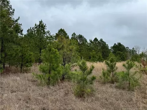 Calloway Road, Raeford, NC 28376 photo 6