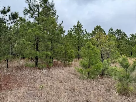Calloway Road, Raeford, NC 28376 photo 2