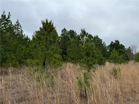 Calloway Road, Raeford, NC 28376 photo 8