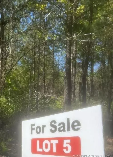 Hwy. 72 Road, Pembroke, NC 28372