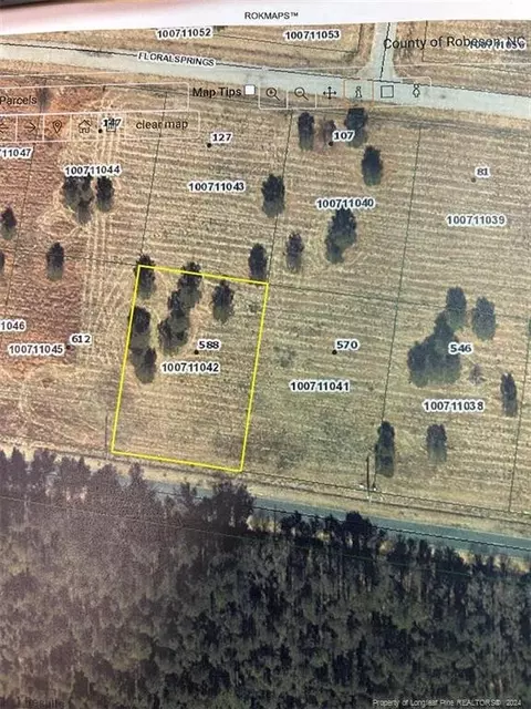 Old Tower Road Lt 19 Road, Lumberton, NC 28360