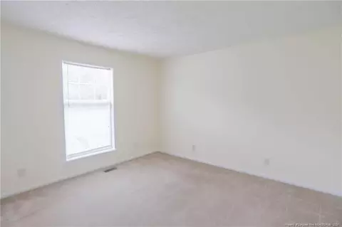 Other - 18 Bryan Godwin Ct, Erwin, NC 28339 photo 5 of 10