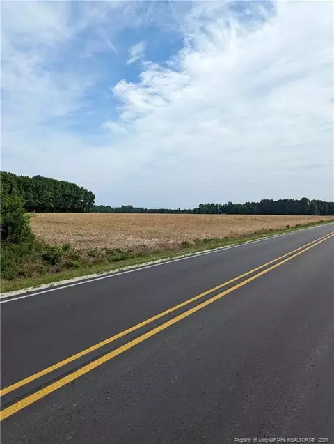 tbd Wire Rd, Bunnlevel, NC 28323 photo 4