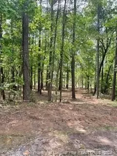 1286 Laurel Ct, Vass, NC 28394