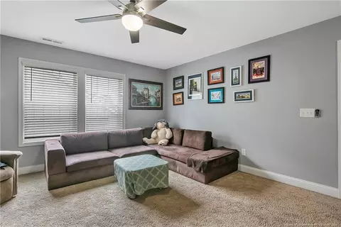 166 Old Glory Ln, Cameron, NC 28326 photo 29