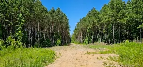 5848 Bluman Rd, Wade, NC 28395